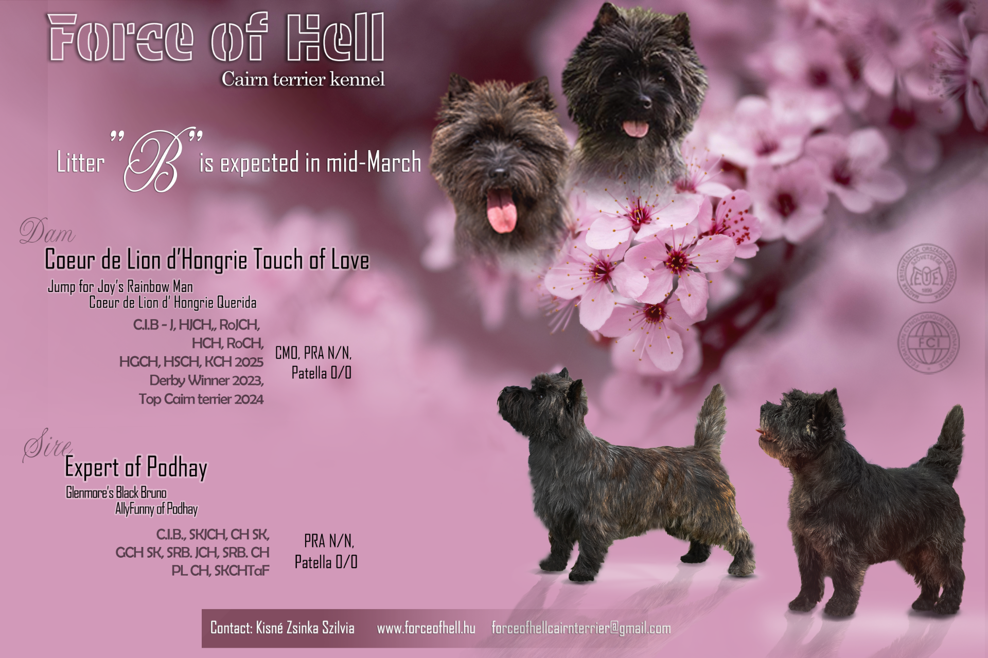 B litter plan